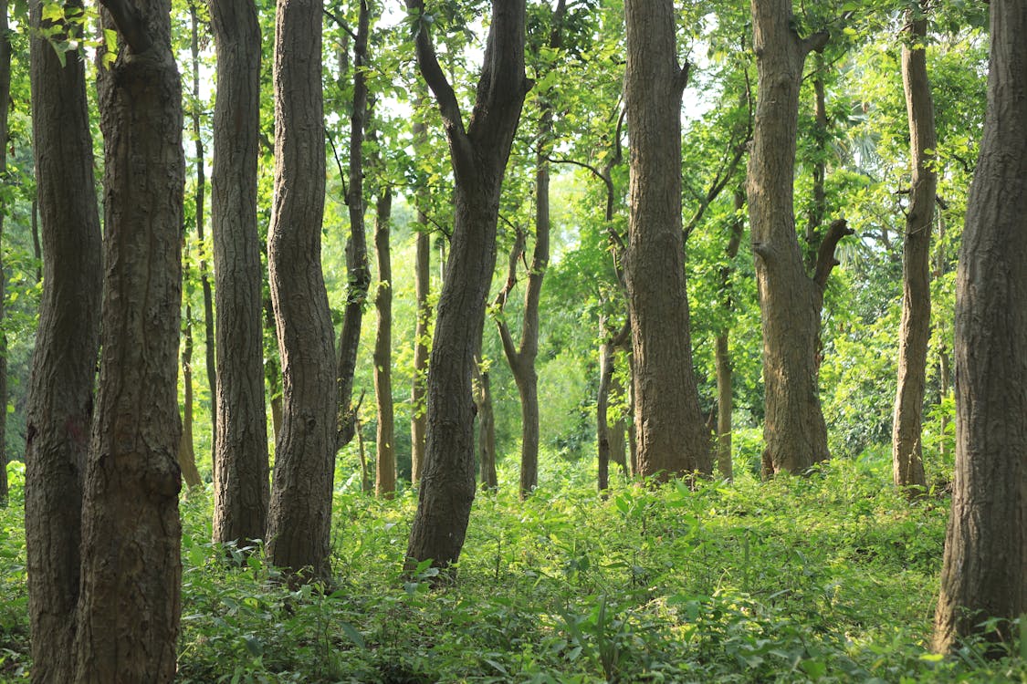 Sustainable sourcing